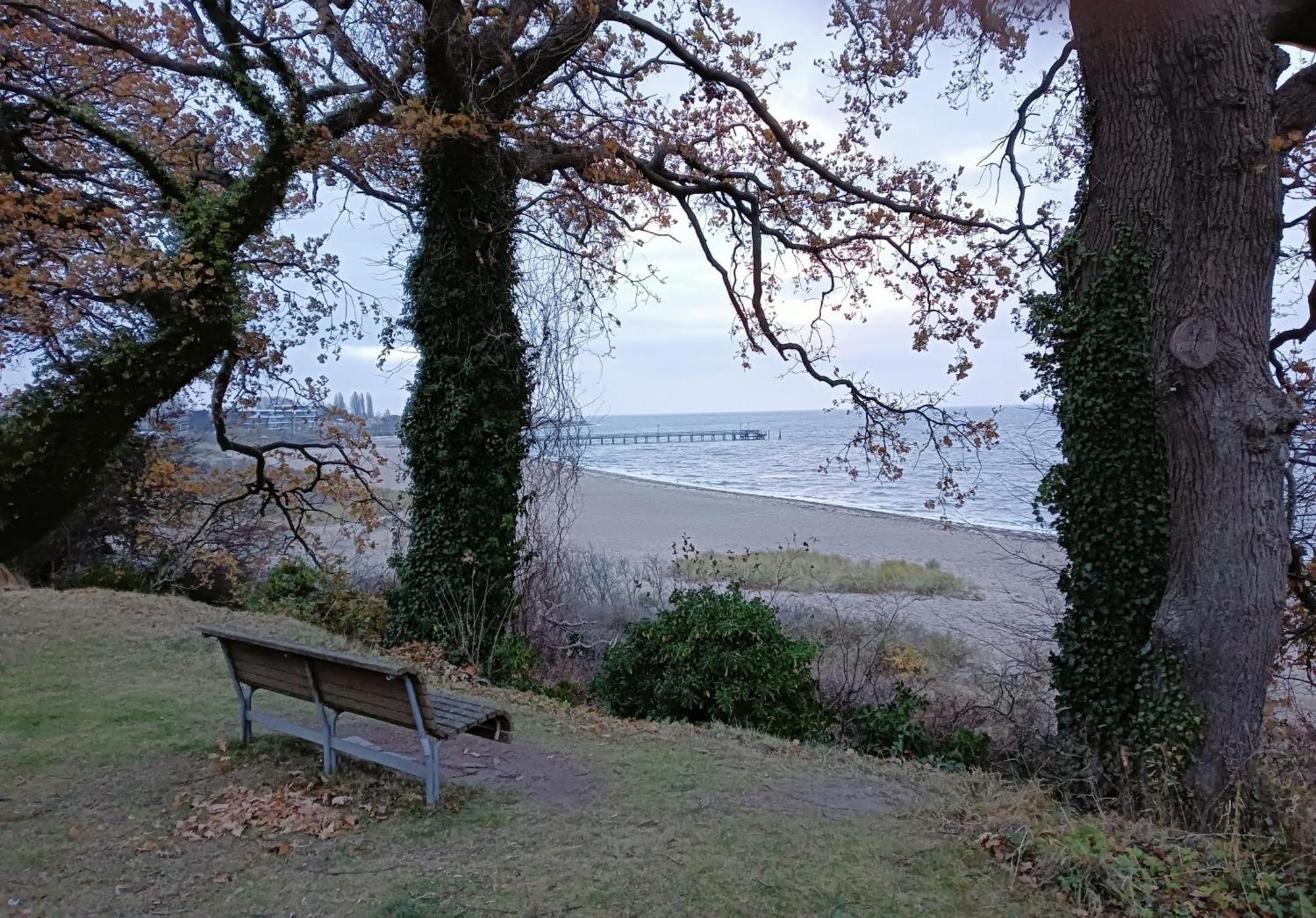 Fewo Muschelgetuschel Im Prinz Hamlet - Direkte Strandlage Pelzerhaken Bagian luar foto